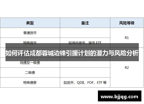 如何评估成都蓉城边锋引援计划的潜力与风险分析
