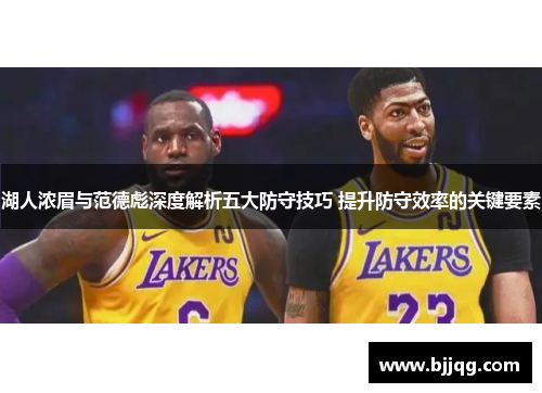 湖人浓眉与范德彪深度解析五大防守技巧 提升防守效率的关键要素